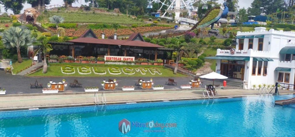 PT Selecta Catatkan Peningkatan Pendapatan dan Laba Bersih di Tahun&nbsp;2023