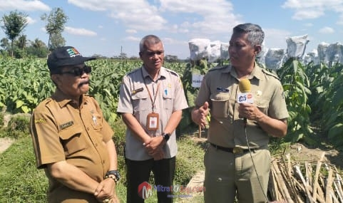 Kelompok Tani Tembakau di Kabupaten Blitar Terima Bantuan dari&nbsp;DBHCHT